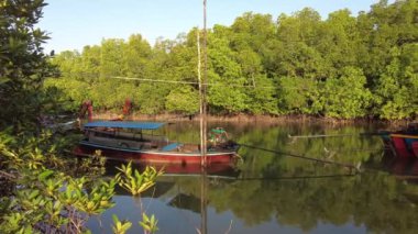 Geleneksel uzun kuyruklu tekneler yemyeşil mangrov ormanlarının yanına yanaşır ve Tayland nehir kıyısındaki sakin sulara yansıtır..
