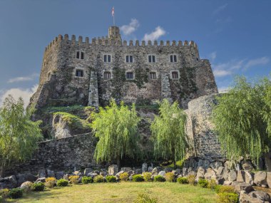 A scenic view of Rabati castle courtyard featuring an arched gallery and stone walls. The castle stands tall with a waving flag, surrounded by lush greenery and historical architecture. clipart