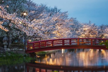 Sakin bir göletin üzerindeki kırmızı kemerli köprünün alacakaranlık manzarası, çiçek açmış kiraz ağaçlarıyla çevrili. Huzurlu sahne, yumuşak ışıklarla aydınlatılıyor. Huzurlu ve resimsel bir ortam yaratıyor.