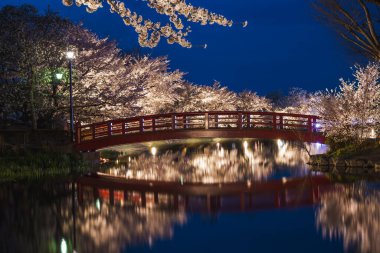 Gece aydınlanan kiraz çiçekleri, sakin bir gölete yansıyan kırmızı ahşap bir köprü çerçevesi oluşturur. Bu sakin sahne, muhtemelen Japonya 'da, sükuneti ve doğal güzelliği çağrıştırıyor..