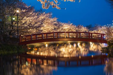 Sakin bir göletin üzerindeki kırmızı köprünün gece sahnesi, kiraz ağaçlarının altındaki ışıklarla aydınlanıyor. Sakin bir atmosfer, bahar temaları için mükemmel. Huzurlu Japon bahçesi.