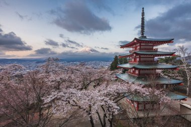 Fujiyoshida, Japonya 'dan Fuji Dağı' nın çarpıcı gündoğumu manzarası. Canlı bir kiraz çiçeği bahçesi geleneksel bir kırmızı pagoda çerçevesini çerçeveler ve doğal güzellik ve kültür mirasının resimsel bir sahnesini yaratır..