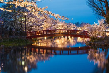 Sessiz bir gece sahnesinde, kiraz çiçekleriyle çevrili sakin bir gölete yansıyan kırmızı ahşap bir köprü. Sakin atmosfer, yumuşak ışıklandırmayla güçlenir. Resimli bir Japon bahçesi..