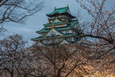 Osaka Kalesi, Japonya 'nın Osaka şehrinde nefes kesen kiraz çiçeklerinin arasında görkemli bir şekilde duruyor. Şatonun karmaşık mimarisi narin pembe çiçeklerle güzel bir tezat oluşturuyor.