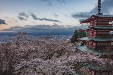 Japonya Chureito Pagoda 'dan Fuji Dağı' nın muhteşem manzarası kiraz çiçeği mevsiminde. Bulutların arasındaki ikonik dağ zirveleri, canlı pembe sakura ağaçları tarafından çerçevelenir..