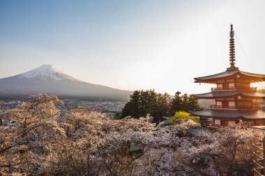 Japonya 'daki görkemli Fuji Dağı, kiraz çiçeklerinden bir battaniye ile süslenmiş, geleneksel kırmızı bir pagoda tarafından güzel çerçevelenmiştir. Bu pitoresk sahne Japonya 'da baharın özünü yakalar.