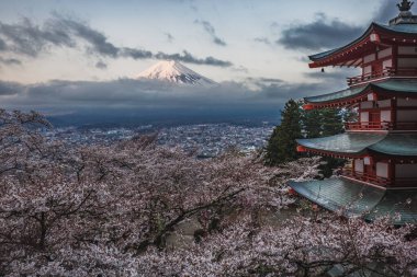 Karla kaplı görkemli Fuji Dağı, Japonya 'da canlı bir kiraz ağacı ve çarpıcı bir kırmızı pagoda' nın arkasından görülüyor. Şehrin manzarası ve ikonik dağ manzarası..