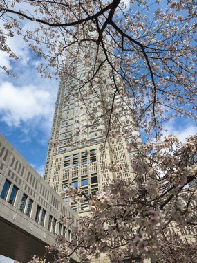 Tokyo Metropolitan Hükümet Binası, Japonya, kiraz çiçeği mevsiminde. Narin pembe ve beyaz çiçeklerin çerçevelediği ikonik gökdelenin çarpıcı bahar manzarası.
