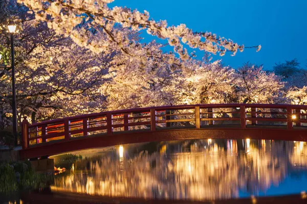 Aydınlatılmış kiraz çiçekleri, sakin suya yansıyan kırmızı bir köprüyü gece aydınlatır. Bu resim sahnesi, muhtemelen Japonya 'da dinginliği ve doğal güzelliği çağrıştırıyor..