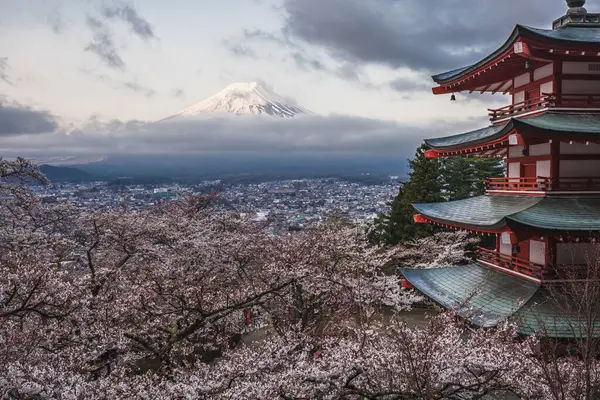 Görkemli Fuji Dağı canlı bir kiraz çiçeği bahçesi ve geleneksel bir Japon pagoda 'sının arkasından izlendi. Japonya 'da nefes kesen bahar manzarası, doğanın güzelliğini ve kültürel mirasını gözler önüne seriyor..