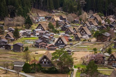 Japonya 'nın Shirakawa-go kentinin göz kamaştırıcı hava manzarası ilkbaharın çiçek açan kiraz ağaçları ve geleneksel pirinç tarlalarının arasına yerleştirilmiş gthe tarzı eşsiz çiftlik evlerini sergiliyor. Kırsal kesimin resimli bir görüntüsü.