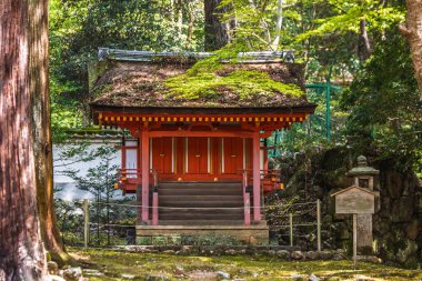 Huzurlu bir Japon ormanına yerleştirilmiş antik kırmızı ahşap tapınak. Yosun gibi çatı ve taş duvar onun mistik cazibesini artırıyor. Huzurlu ve ruhani bir atmosfer. Seyahat, kültür ve maneviyat için ideal.