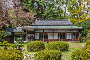 Geleneksel Japon evi huzur bahçesinde manikürlü çitler ve bonsai ağaçlarıyla örülü. Mimari klasik tasarım elementlerini sergiliyor, barışçıl ve sakin bir atmosfer yaratıyor. Bu...
