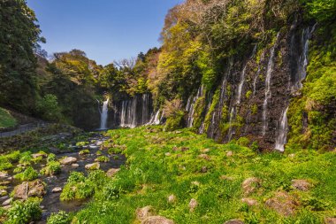 Japonya 'daki Shiraito Şelaleleri' nin göz kamaştırıcı manzarası, yosun kaplı bir uçurum yüzeyinden akan şelaleler serisi. Yeşillik ve sakin bir dere bu doğal güzelliğin manzarasına katkıda bulunur..