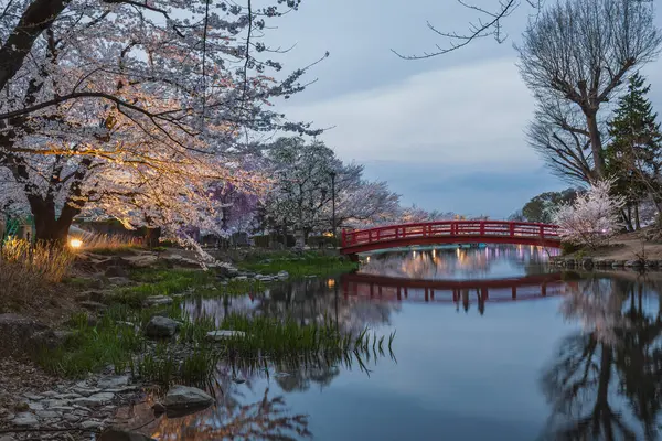 Kıpkırmızı kemerli bir köprünün sakin bir gölete yansıyan alacakaranlık manzarası. Etrafı kiraz çiçekleriyle çevrili. Sahne huzurlu bir Japon bahçe atmosferini çağrıştırıyor..