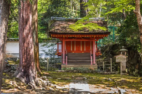 Huzurlu bir Japon ormanında yuva yapmış eski yosun kaplı bir türbe. Taş basamaklı kırmızı ahşap yapı, geleneksel mimari sergileniyor. Huzurlu doğa sahnesi.