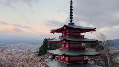Japonya 'da üç katlı bir pagoda' dan Fuji Dağı 'nın sakin gündoğumu manzarası. Önünde kiraz çiçekleri var. Görkemli yanardağ kısmen sisle kaplanmış, güzel bir manzara yaratıyor..