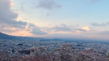 Japonya 'da üç katlı bir pagoda' dan Fuji Dağı 'nın sakin gündoğumu manzarası. Önünde kiraz çiçekleri var. Görkemli yanardağ kısmen sisle kaplanmış, güzel bir manzara yaratıyor..