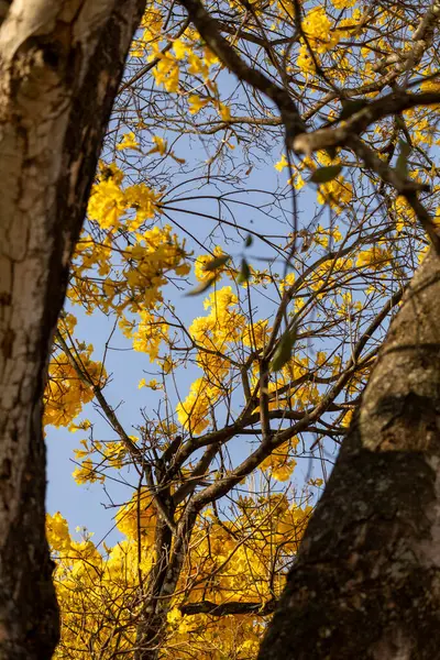 Doğanın güzel manzarası