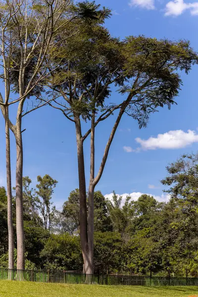 Parkın güzel manzarası