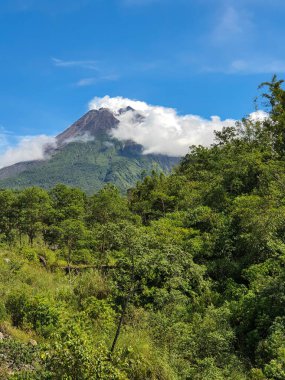 Merapi Dağı 'nın gündüz dumanı püskürten fotoğrafı. Bu dağ Yogyakarta şehrinin kuzey tarafında yer almaktadır.