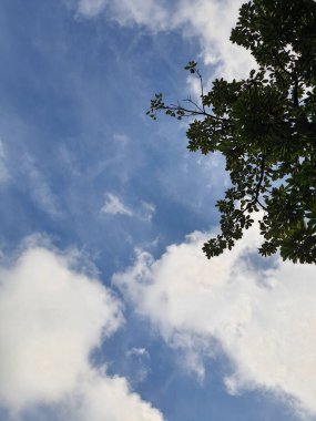 Mavi gökyüzünün altındaki yeşil yapraklı ve ağaçlı bir manzara fotoğrafı.