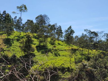 Yogyakarta 'daki Merapi Dağı' nın yamaçlarının fotoğrafı. Mavi gökyüzünün altında.