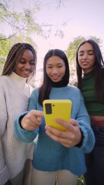 三个年轻女人在公园里玩的开心的同时用手机笑着 女孩子们在闲聊一个智能手机应用程序 在千禧年的人们联通在线平台 社交媒体 — 图库视频影像