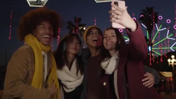 Young Girl Her Group Friends Making Video Call Amusement Park — Vídeo de Stock