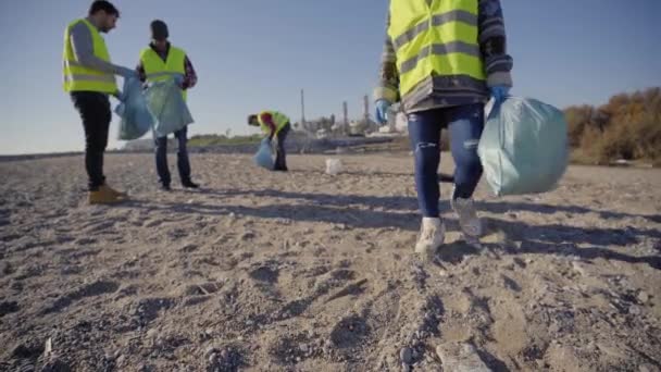 Video Group Activists Holding Plastic Waste Team Work Volunteers Cleaning — Stock videók
