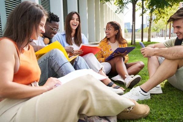 Group Cheerful Students Studying Together Outdoors College Classmates Review Together — Fotografia de Stock