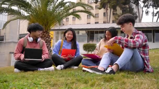 Açık Havada Çalışan Çok Irklı Bir Grup Genç Öğrencinin Portresi — Stok video