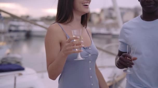 Bir Kadeh Şampanya Kapatıver Bir Grup Arkadaş Birlikte Eğleniyor Deniz — Stok video