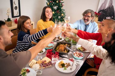 Neşeli Avrupalılar Noel toplantısında beyaz şarapla kadeh kaldırıyor. Gülümseyen Kafkas ailesi Noel tatillerini birlikte kutluyorlar. Nesiller ev hayatından keyif alıyor. 
