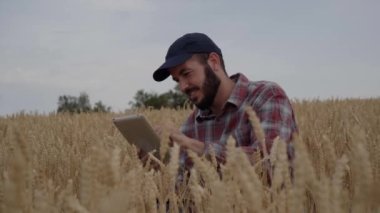 Gülümseyen tarım mühendisi tablet kullanarak yerdeki kameraya bakarak buğday tarlasını analiz ediyor. Tarım endüstrisinde teknisyen. Modern dijital teknolojilerle ürün kontrolü