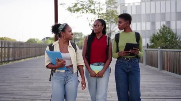 Felici Afro Americani Belle Studentesse Che Camminano Spensierate Nel Campus — Video Stock