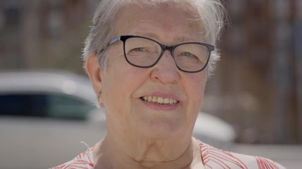 靠近灰白头发的老妇人的脸 戴着眼镜 在室外看着微笑的相机 在阳光明媚的夏日 退休的女士摆出一副快乐而轻松的样子 多姿多彩快乐的老年女性祖母 — 图库视频影像