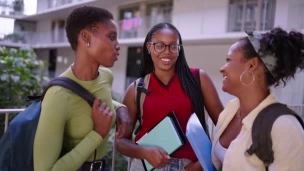 Grupo Jovens Afro Americanos Bons Estudantes Reuniram Falando Rindo Campus — Vídeo de Stock