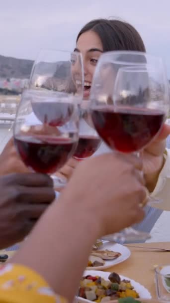 Vertikalt Olika Glada Människor Skålar Med Vin Sittande Vid Bordet — Stockvideo