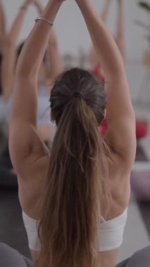 Dikey. Grup çeşitliliği, yoga yapan gençlerin içeride egzersiz yapmaları. Konsantre sınıf meditasyoncuları. Topluluk sağlıklı yaşam tarzı, sağlık ve günlük sabah rutinleri