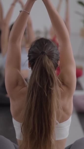 Dikey Grup Çeşitliliği Yoga Yapan Gençlerin Içeride Egzersiz Yapmaları Konsantre — Stok video