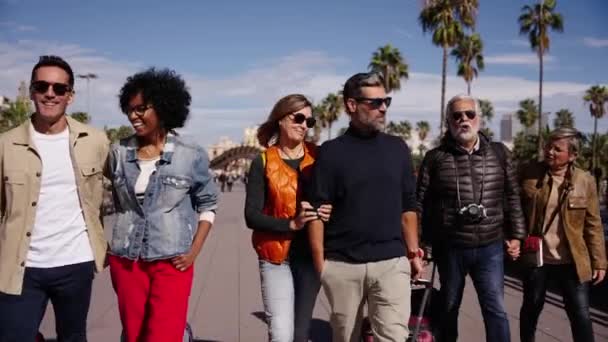 Grupo Amigos Alegres Meia Idade Caminhando Positivamente Com Suas Malas — Vídeo de Stock