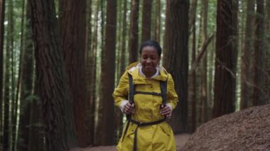 Sarı ceketli gülümseyen Latin bir kadın sık bir ormanda yürüyor büyük ağaçların arasında Doğa 'da tatilinin tadını çıkarıyor. Ormandaki dağlarda yürüyüş yapan insanlar. Yavaş çekim videosu