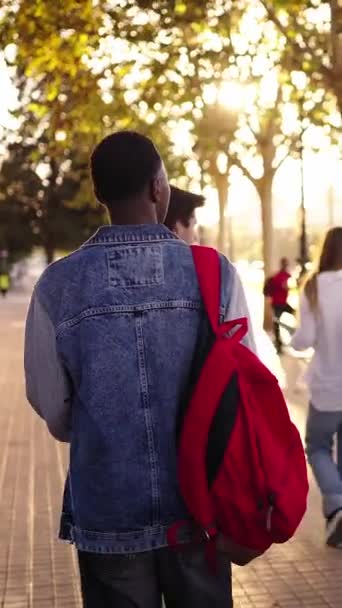 垂直录像 带着背包步行到大学大楼上课的多族裔年轻朋友中学学生的背景图 在通往高中的路上 一群户外的多种族学生 — 图库视频影像