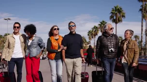 Çeşitli Gülümseyen Olgun Insanlar Tatillerde Boş Zamanı Kutluyorlar Bir Grup — Stok video