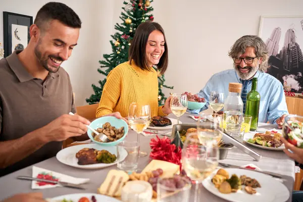 Avrupa 'nın çeşitli mutlu aileleri Noel' i evde kutlarken neşeli bir şekilde toplandılar. Kızarmış hindiyle birlikte sofraya oturdular. Kış tatilinin keyfini çıkardılar.