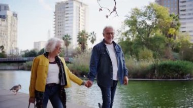 Kıdemli çift el ele yürüyor, gün batımında bir parkta gülümsüyor, doğayla çevrili romantik ve huzurlu bir anın tadını çıkarıyor ve günün sıcak altın ışığı sona eriyor.