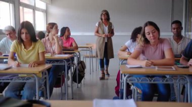 Öğretmen bir sınıfta bir grup çok ırklı öğrenci arasında yürür, öğretmenlik yaparken onlarla meşgul olur. Dinamik sahnede eğitimde etkileşim, kapsama ve aktif öğrenme vurgulanıyor
