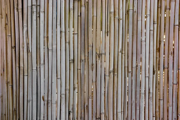 Background Dry Bamboo Arranged Vertically — Stock Photo, Image