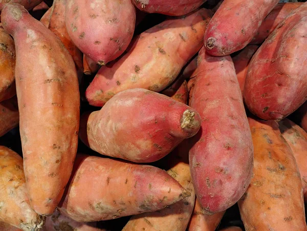 stock image Sweet potato Ipomoea batatas or yam on display, group of objects